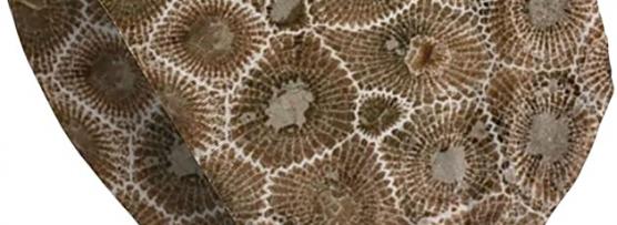 Miglior cappello stone