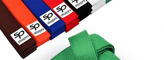 Miglior cintura nera karate