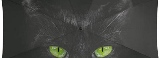 Miglior ombrello h2o gatti