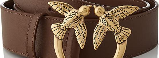 Miglior pinko cinture