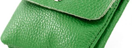 Miglior portafoglio donna verde