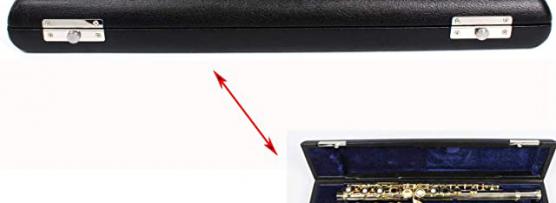 Miglior astuccio per flauto dolce