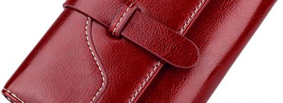 Miglior borsa antiscippo carpisa