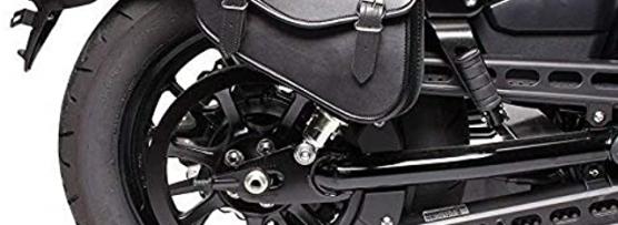 Miglior borsa laterale harley davidson 883