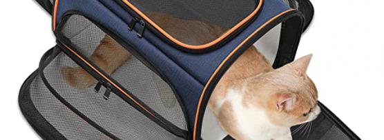 Miglior borsa trasportino