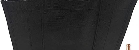 Miglior borsa trasporto bimby