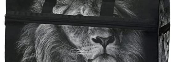 Miglior borsone leone