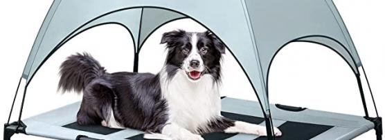 Miglior brandina borse storia