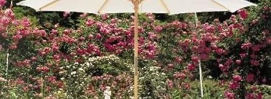 Miglior ombrellone in valigia