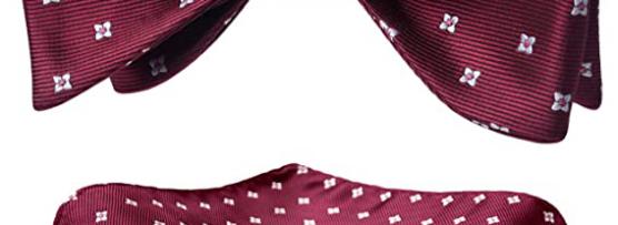 Miglior papillon e pochette