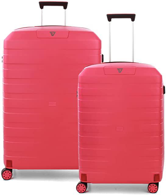 Miglior roncato trolley grande 2 ruote