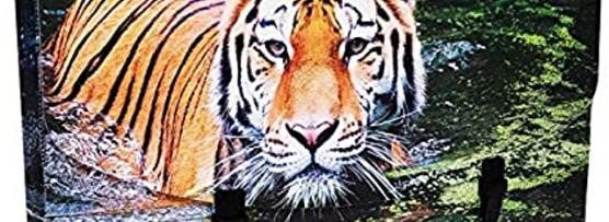 Miglior valigetta polionda 50x70