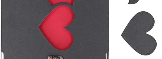 Miglior valigette per album