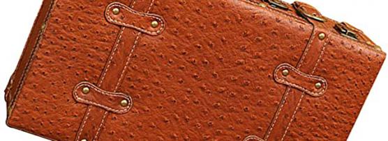 Miglior valigia di cuoio