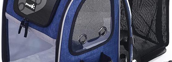 Miglior zaino montagna cane