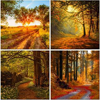 Miglior quadro bosco
