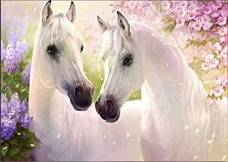Miglior quadro cavallo