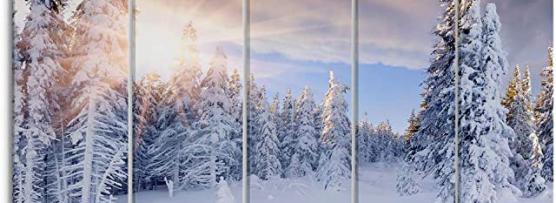Miglior quadro neve