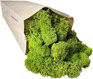 Miglior quadro vegetale