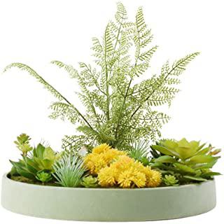 Miglior tavolino bonsai