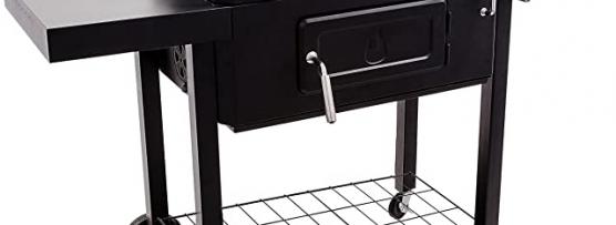 Miglior barbecue professionale a legna