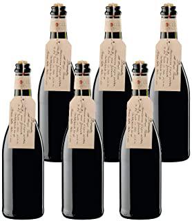 Miglior bottiglie per vini frizzanti