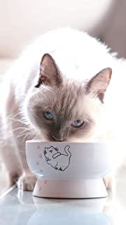 Miglior ciotola acqua gatto