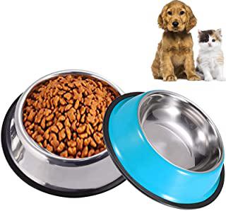 Miglior ciotola acqua per cani