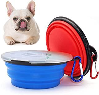 Miglior ciotola per cani