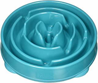 Miglior ciotole per cani voraci