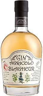 Miglior gin mare bicchieri