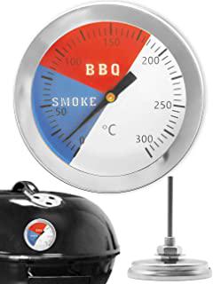 Miglior termometro per barbecue