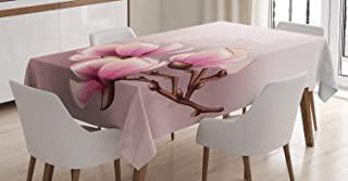 Miglior tovaglia plastificata shabby