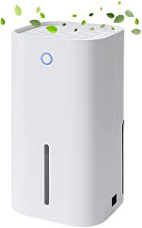 Miglior deumidificatore professionale