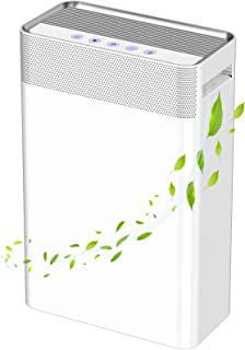 Miglior ionizzatore dyson