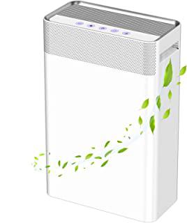 Miglior purifica aria dyson