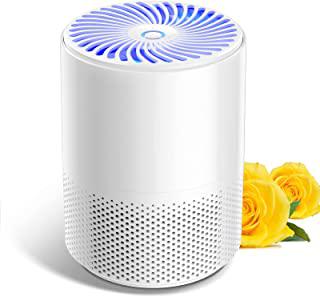 Miglior xiaomi purificatore