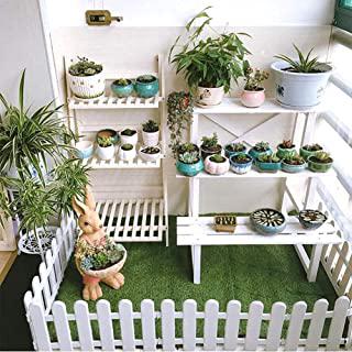 Miglior alberi piccoli da giardino