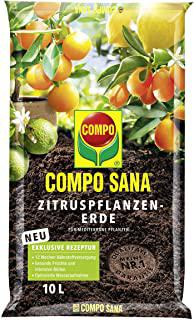 Miglior compo sana terriccio