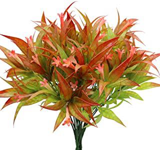 Miglior fiori per giardino