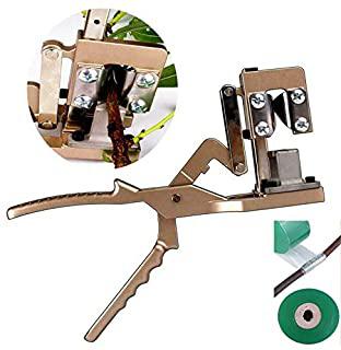 Miglior innestatrice professionale
