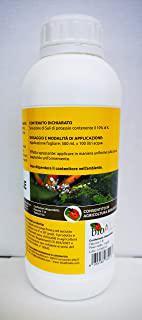 Miglior insetticida naturale