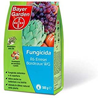 Miglior insetticida sistemico bayer