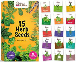 Miglior lavanda giardino