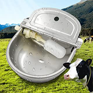 Miglior mangiatoia cavalli