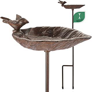 Miglior mangiatoia per uccelli