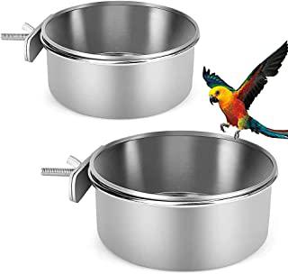 Miglior mangiatoie per piccioni