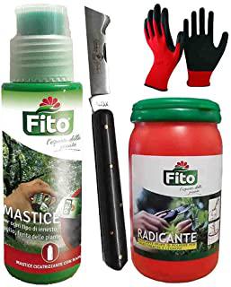 Miglior mastice per potatura