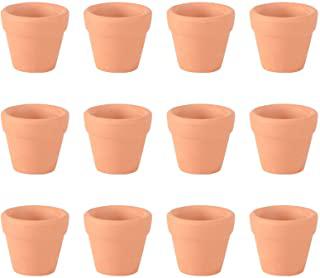 Miglior mini giardino in vaso