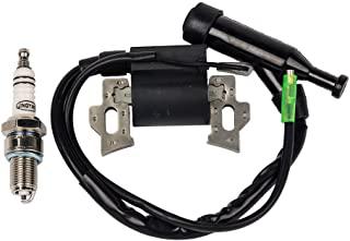 Miglior motozappa benassi bl 75